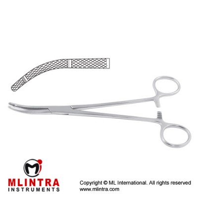 Heaney Hysterectomy Forcep Curved - 2 Teeth Stainless Steel, 21.5 cm - 8 1/2"